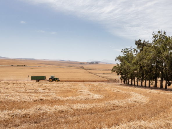 De Hoop AS 2022_072