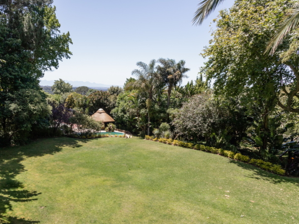 Blazing Sun AS 2022_061