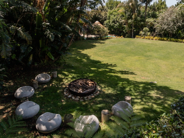 Blazing Sun AS 2022_062