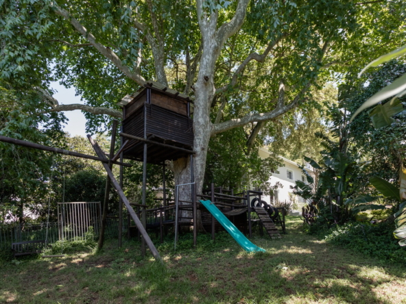 Blazing Sun AS 2022_066