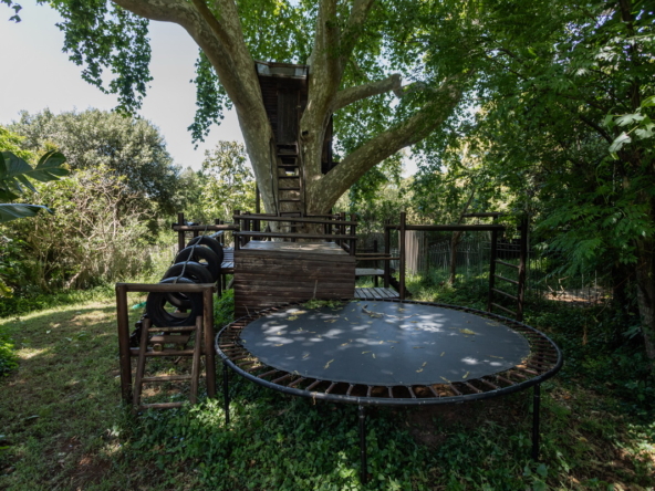 Blazing Sun AS 2022_067