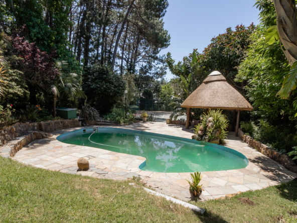 Blazing Sun AS 2022_068