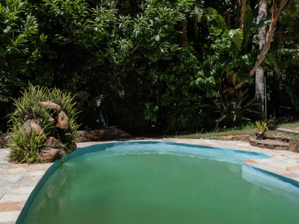 Blazing Sun AS 2022_069