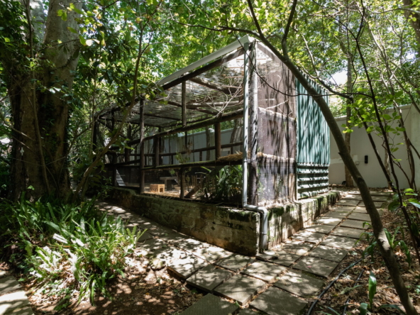 Blazing Sun AS 2022_072