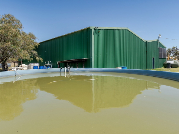 Little Stream Farm AS 2022 _22