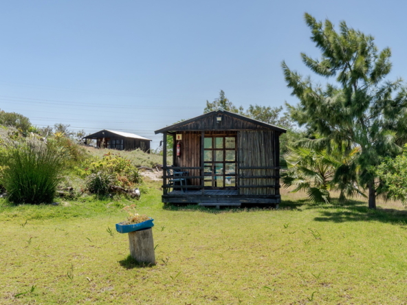 Little Stream Farm AS 2022 _25