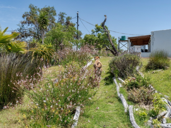 Little Stream Farm AS 2022 _28