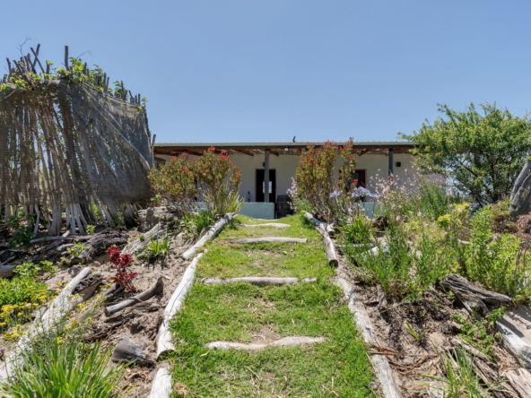 Little Stream Farm AS 2022 _29