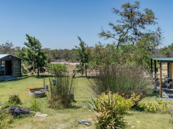 Little Stream Farm AS 2022 _30