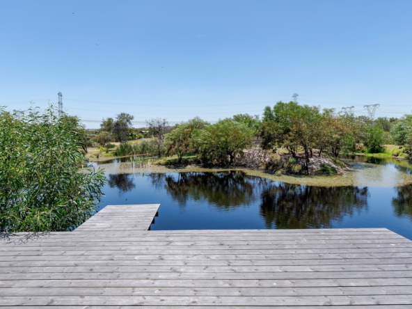 Little Stream Farm AS 2022 _61