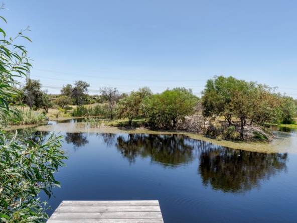 Little Stream Farm AS 2022 _64
