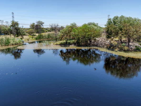 Little Stream Farm AS 2022 _65