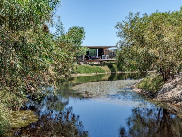 Little Stream Farm AS 2022 _81