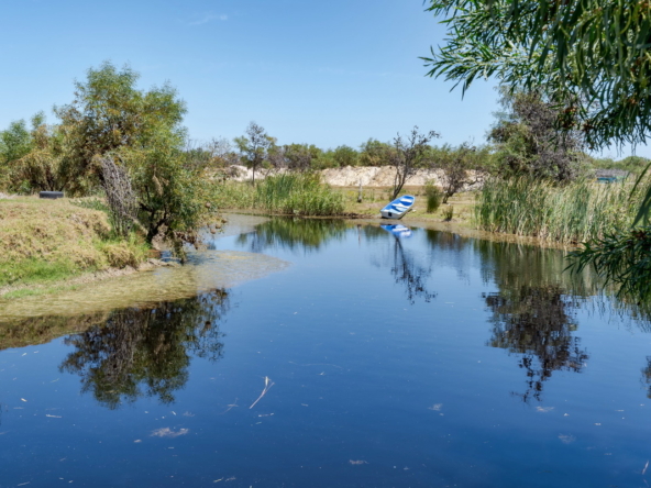 Little Stream Farm AS 2022 _82