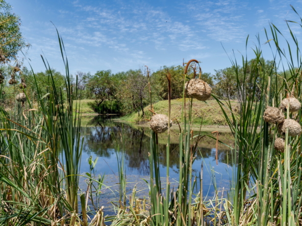 Little Stream Farm AS 2022 _85