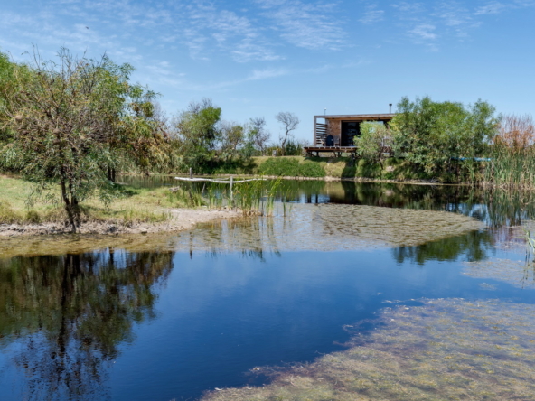 Little Stream Farm AS 2022 _86