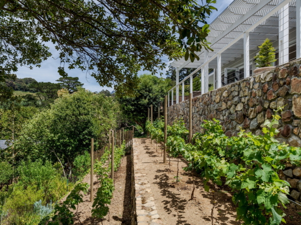 Steep Acres AS 2022 76