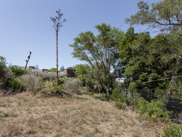 041 Kloof AS 2023