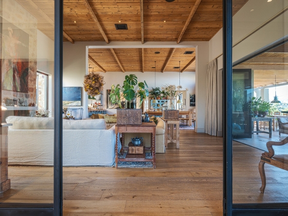 Corymbia AS 2025- 029