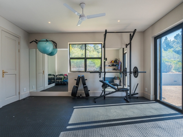 Corymbia AS 2025- 047