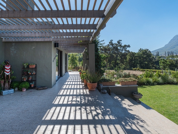 Corymbia AS 2025- 056