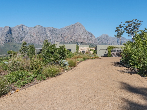 Corymbia AS 2025- 089
