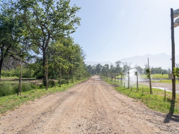 009 Lourensford Backlot AS 2023