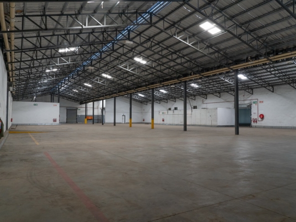 011 NV Film Studio AS 2023