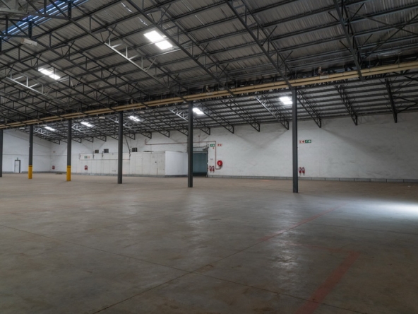 012 NV Film Studio AS 2023
