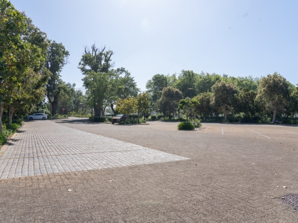 014 Lourensford Backlot AS 2023