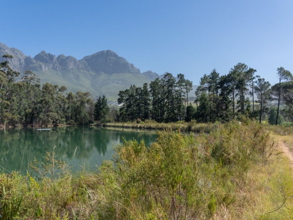 025 Lourensford Backlot AS 2023