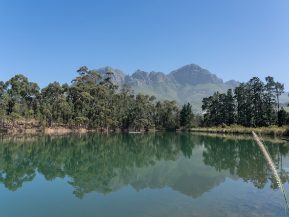 031 Lourensford Backlot AS 2023