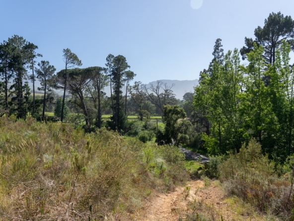 032 Lourensford Backlot AS 2023