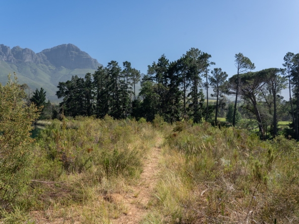 033 Lourensford Backlot AS 2023
