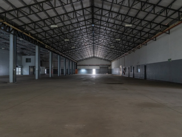 034 NV Film Studio AS 2023