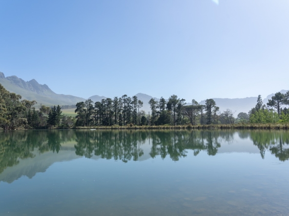 035 Lourensford Backlot AS 2023