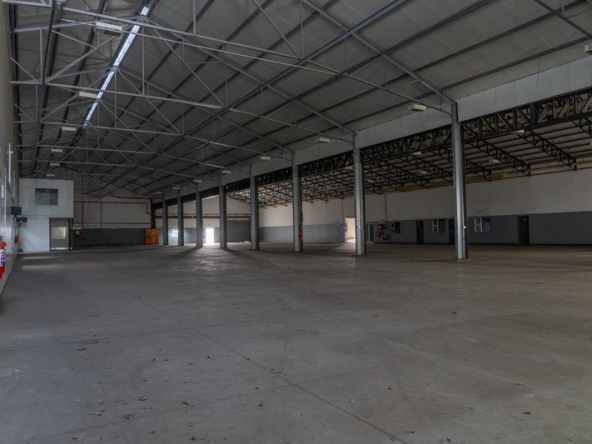 036 NV Film Studio AS 2023