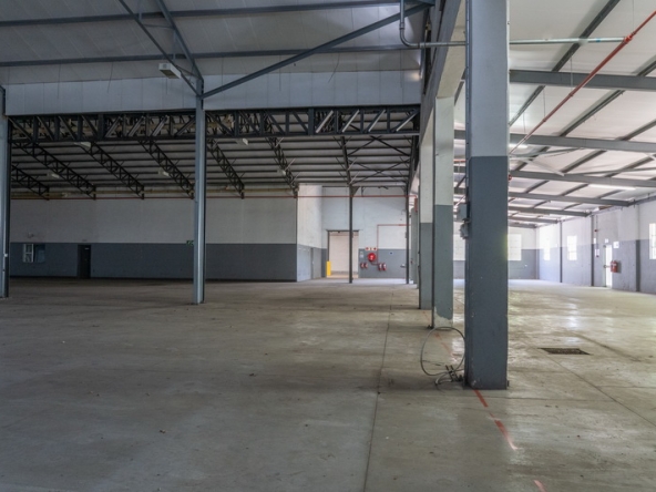 037 NV Film Studio AS 2023