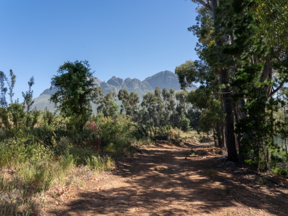 045 Lourensford Backlot AS 2023