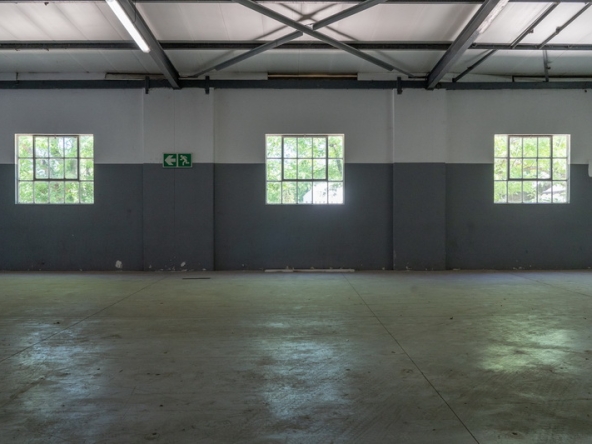 045 NV Film Studio AS 2023