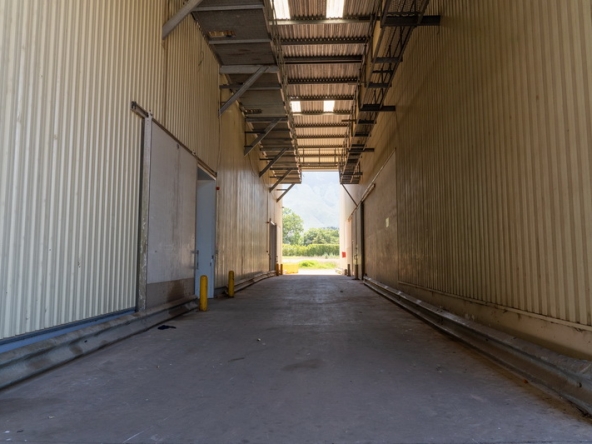 050 NV Film Studio AS 2023
