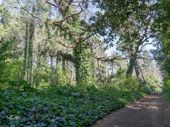 051 Lourensford Backlot AS 2023