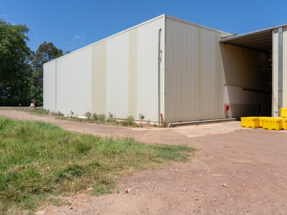 054 NV Film Studio AS 2023