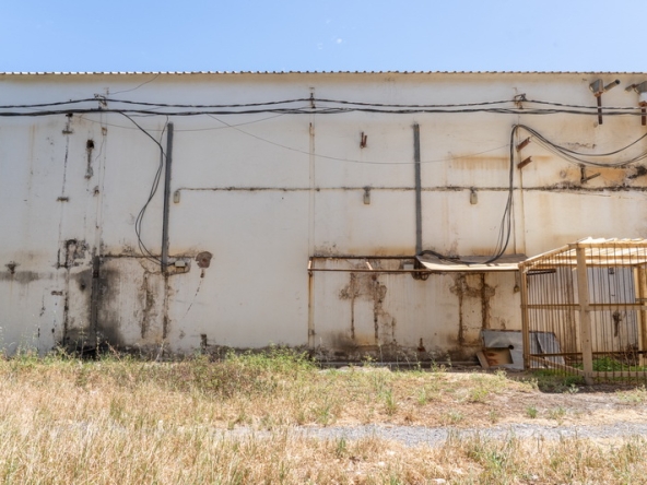 058 NV Film Studio AS 2023