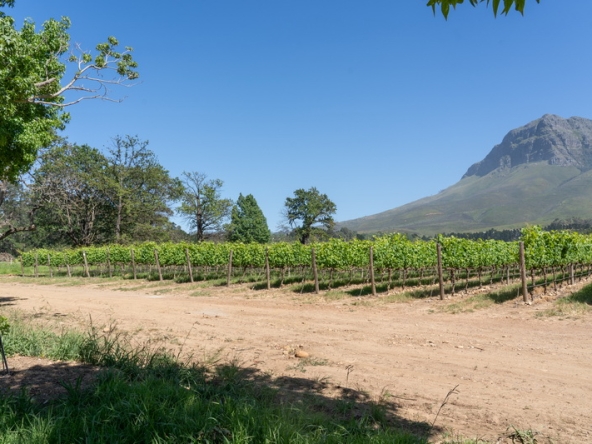 065 Lourensford Backlot AS 2023