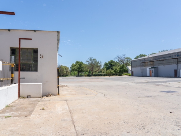 066 NV Film Studio AS 2023