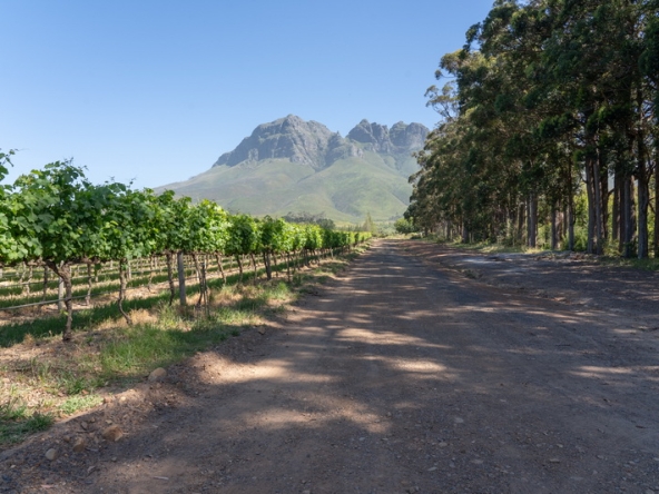 069 Lourensford Backlot AS 2023