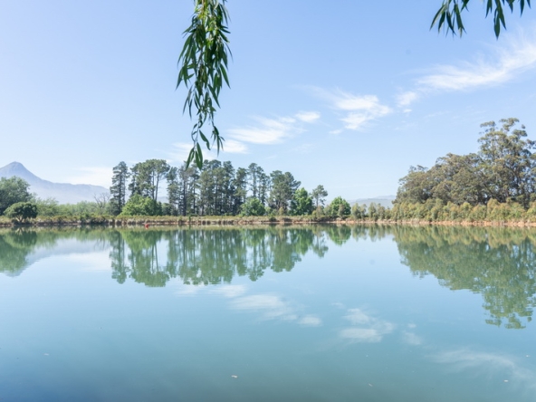 072 Lourensford Backlot AS 2023