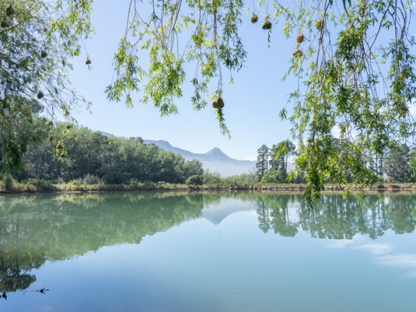 074 Lourensford Backlot AS 2023