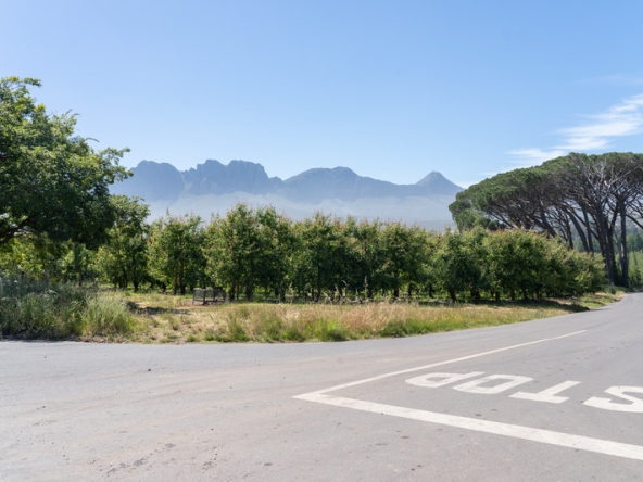 084 Lourensford Backlot AS 2023